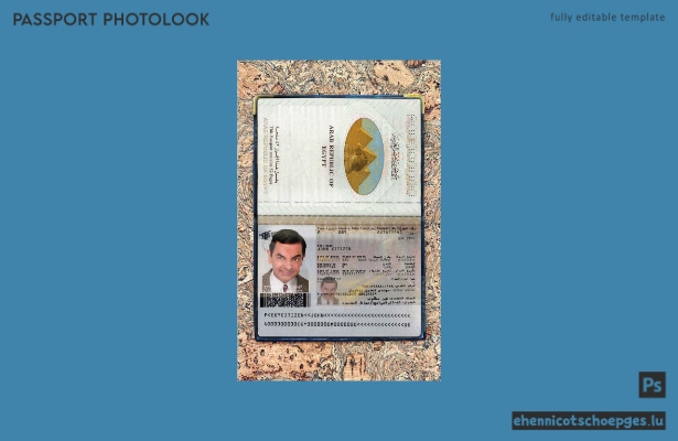 Beispielansicht eines ägyptischen Passfotos